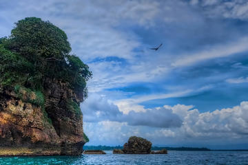 Essence of Panama