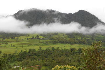 Private Tour to Mindo Cloud Forest