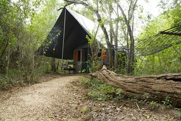 All-Inclusive Udawalawe Mahoora Tented Safari Camp