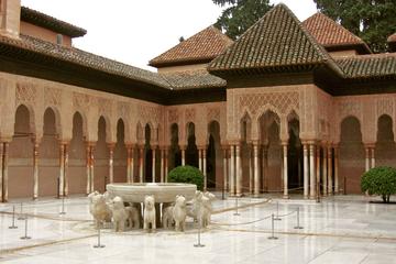Alhambra Nasrid Palaces and Generalife With Tourist Guide