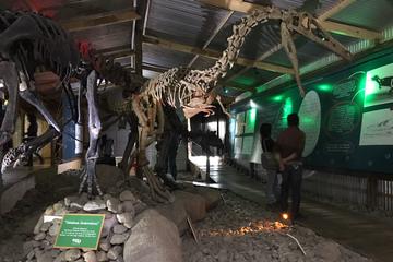 El Calafate History Museum Tour