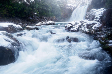 Half Day Volcanic Explorer Guided Walk (including Lord of the Rings Highlights)