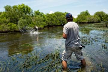 One Day Outback Fishing Experience via Helicopter