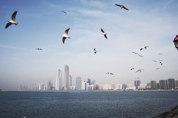 Abu Dhabi City Tour
