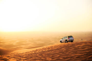 Morning Desert Trip