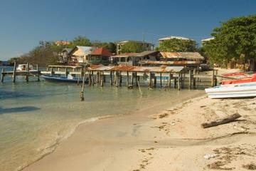 Roatan Shore Excursion: East Island Tour