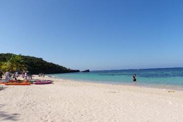 Roatan Shore Excursion: Small-Group West Bay Beach Tour