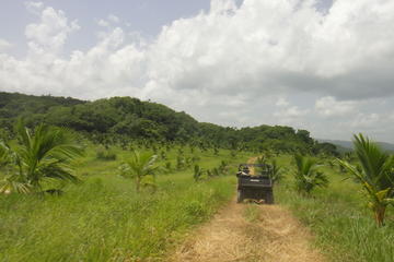 Dominican Dune Buggy Tour