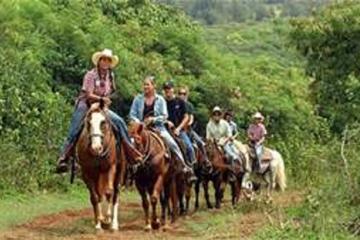 Dominican Republic Countryside Horseback Riding from Puerto Plata