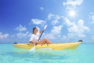 Road Town Shore Excursion: Tortola Kayak Tour