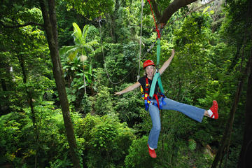 3-Day Rainforest and Reef: Cape Tribulation, Daintree Rainforest, Reef Safari