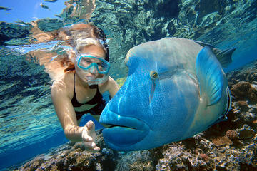 Cairns 2-Day Combo: Great Barrier Reef Cruise and Kuranda
