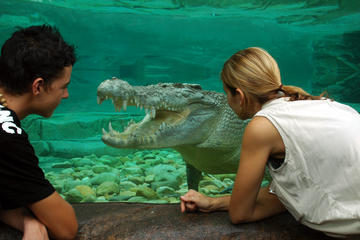 Cairns ZOOM and Wildlife Dome