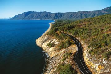 Cape Tribulation, Daintree Rainforest and Wildlife Tour
