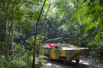 Kuranda Highlights including Rainforestation Aboriginal Culture and Wildlife