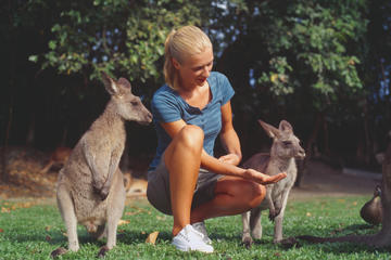 Wildlife Habitat Port Douglas