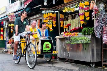 Asian Champur (Japanese Guide) - Mybus