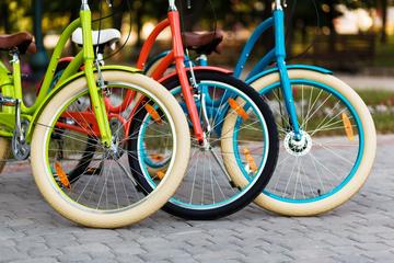 3-Hour Royal Parks and Palaces Bike Tour of London