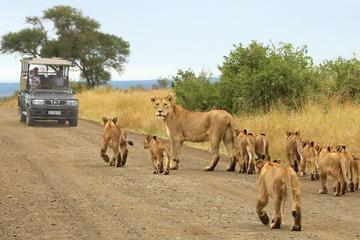2 DAYS JOHANNESBURG PRETORIA APARTHEID MUSEUM AND 3DAYS KRUGER NATIONAL PARK