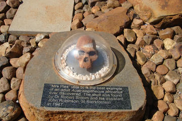 CRADLE OF HUMAN KIND