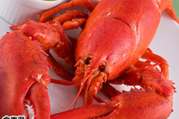 Lobster Dinner and Jazz Night Tour with Japanese Guide - Mybus