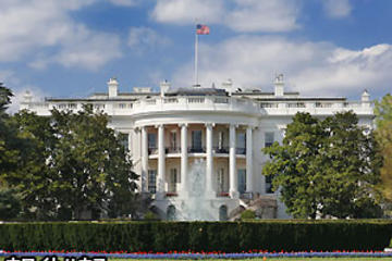 Washington DC Day Trip from New York by Amtrak with Japanese Guide