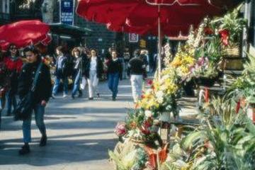 Barcelona Half-day City Tour with Japanese guide