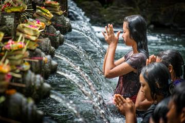 Full-day Private Cultural Tour of Ubud in Bali