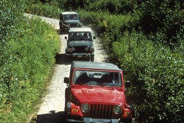Ketchikan Super Saver: Off-Road Jeep and Canoe Safari Combo