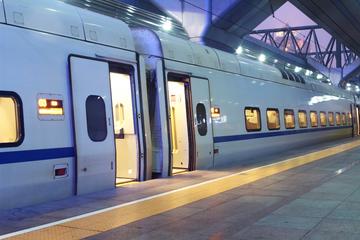 Trasferimento privato all'arrivo: dalla stazione ferroviaria di Roma