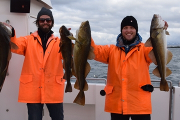 Sortie de pêche en mer au départ de Reykjavik