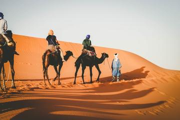 4-Days Guided Desert Tour from Marrakech
