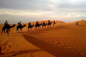 Best of Moroccan Sahara: 5-Day Guided Tour from Marrakech