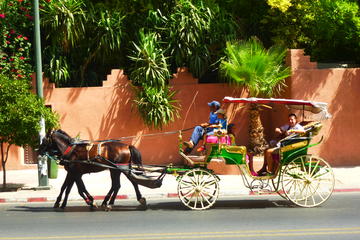 Horse Carriage Ride with Majorelle Garden