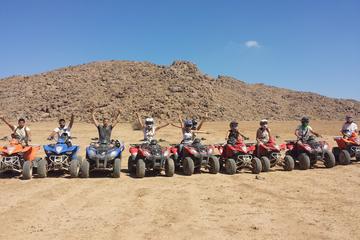 Marrakech Palmeraie Quad Bike Desert Adventure