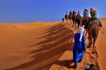 Merzouga Desert Highlights: 3-Day Guided Tour from Marrakech