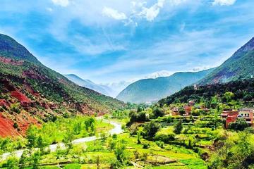Ourika Valley Day Trip from Marrakech