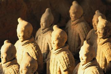 Morning or Afternoon Private Half Day Tour to Terracotta Warriors
