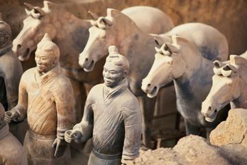 Private Tour: Terracotta Warriors with Xi'an Airport Transfer