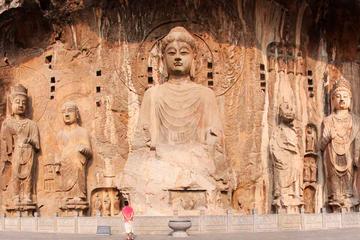 Private Tour: Longmen Grottoes Day Tour from Xi'an to Luoyang via High Speed Train