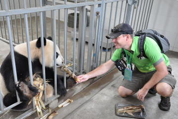 Panda Rescue Center Volunteer for a Day