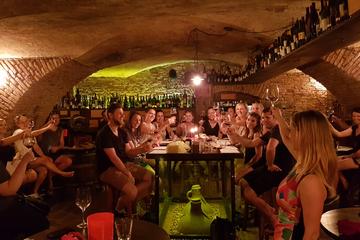 Wine Tasting Ljubljana