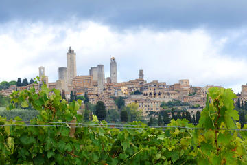 Private Siena to Florence Chianti and San Gimignano Transfer Tour