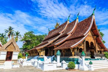 Slow boat to Pak ou cave and city tour