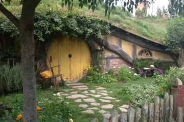 Hobbiton and Waitomo Glowworm Cave Day Tour - Private transportation
