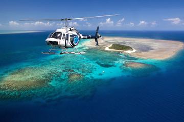 Great Barrier Reef Scenic Helicopter Tour and Cruise from Port Douglas