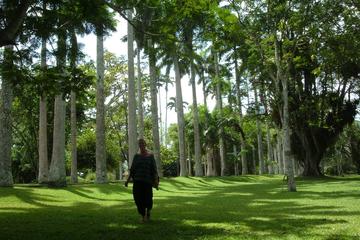 Aburi Botanical Gardens and Shai Hills Tour