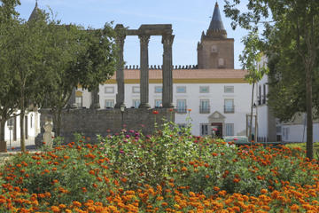 Small-Group Évora Day Trip from Lisbon with Olive Oil Tastings