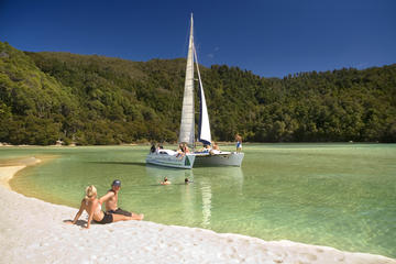 Full-Day Sailing Adventure in the Abel Tasman National Park