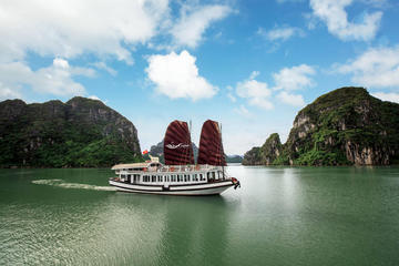 Daily tour Bai Tu Long bay